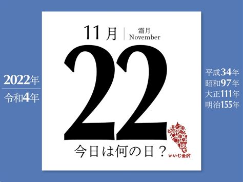 11 月 22 日